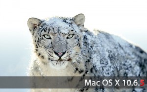 Snow Leopard 10.6.5